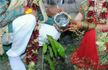 ’Green Marriage’ to create environmental awareness